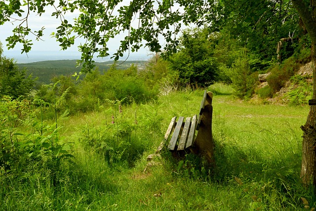 拥有出色的 拥有出色的