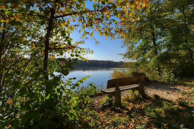 中超首轮大揭秘！朱辰杰伤情牵动国足命运，成都蓉城再创观赛新纪录！.